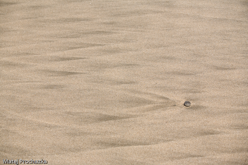 Lonely