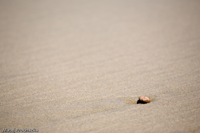 Lonely